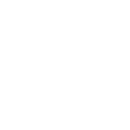 CoreAgent